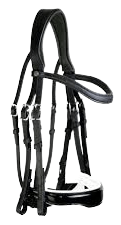 Double Bridle Leather with SS Hardware