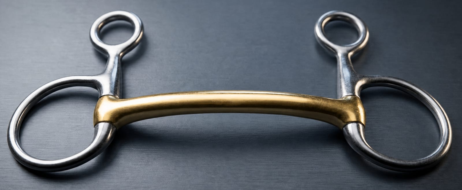 Baucher/ Hanging SS Bit With Brass Mullen Mouth