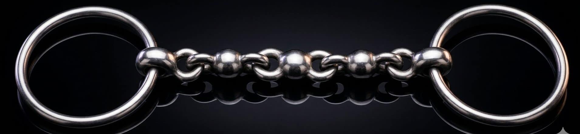 Loose Ring Snaffle Bit SS with Waterford Mouth