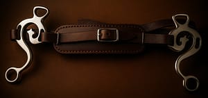 Escuela hackamore Brown Nose-band with SS Shanks