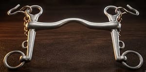 Weymouth Bit SS Cambridge Mouth