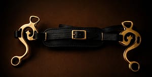 Escuela hackamore Black Nose-band with Brass Shanks
