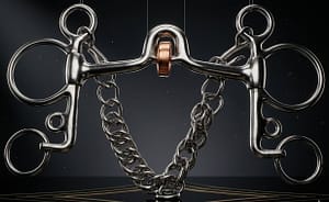 Pelham Bit SS, Ported Mouth, Copper Roller with Chain