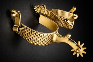 Ranch Spur Rasp Style with SS Rowel Gold plated