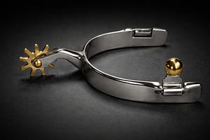 Cutting Spurs SS with Brass Rowel
