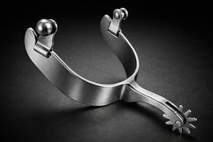 Roper Spur SS Rowel with SS buttons