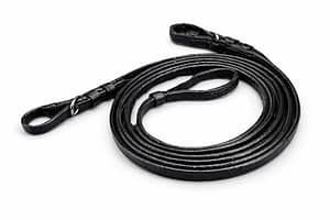 Curb Reins