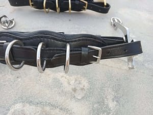 Hackamore/ Cavemore SS Shanks adjustable Noseband