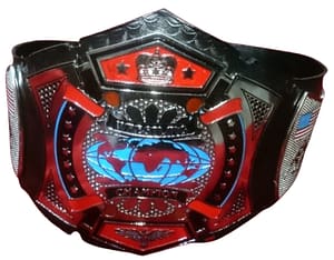 Generic Custom Made Silver Wrestling Championship Belt