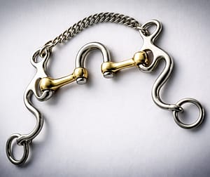 Correction Bit SS, with Solid Round Brass Mouth and SS Swivel Port