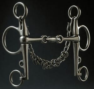 Pelham Bit Stainless Steel Double Jointed with SS Lozenge