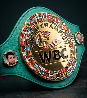 WBC Boxing World Championship Belt