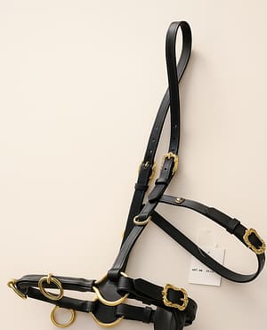 Lungging Cavesson Black Leather with Brass hardware