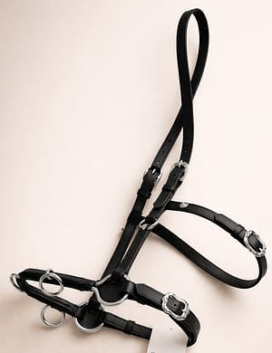 Lungging Cavesson Black Leather with Stainless Steel hardware