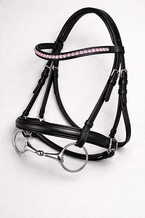Flash Bridle Leather with Brass Hardware