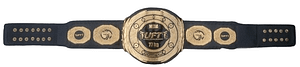 Custom-made MMA Championship Title Belt
