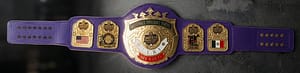 Carrillo Promotion Women Wrestling Championship Gold Plated Belt