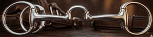 Bradoon SS Ported Mouth