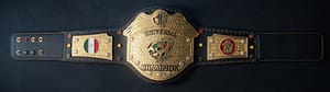 O.P.W Universal Championship Belt