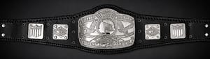 NWA United States Silver Plated Championship Belt
