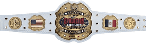 Premium Quality Gold Plated Wrestling Championship Belt