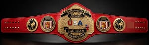 NWA United States Tag Team Championship Gold Plated Belt