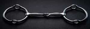 Balding Gag SS Bit with Single Jointed Mouth