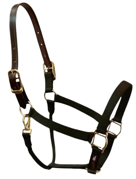 Rowland Leather Breakaway Halter with Brass Hardware