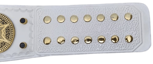 Premium Quality Gold Plated Wrestling Championship Belt - Image 6