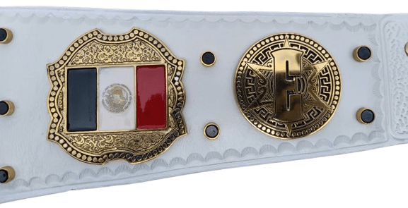 Premium Quality Gold Plated Wrestling Championship Belt - Image 4