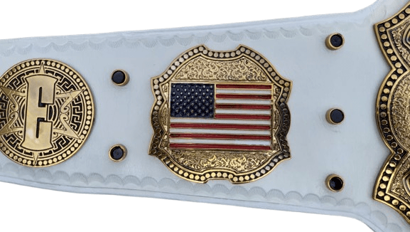 Premium Quality Gold Plated Wrestling Championship Belt - Image 5
