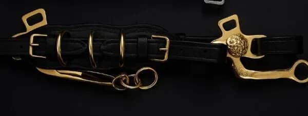Hackamore Cavemore Brass Shanks adjustable Noseband