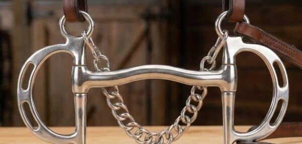 Kimberwick SS Mullen Mouth Snaffle Bit