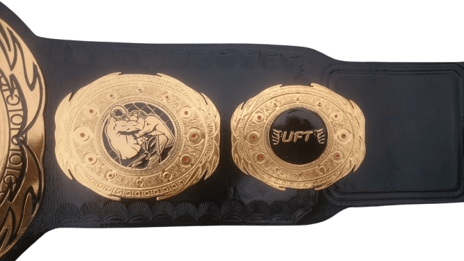 Brass Custom made MMA Championship Title Belt - Image 4
