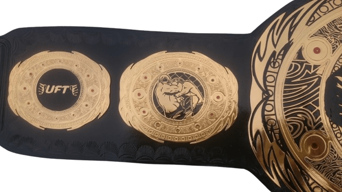 Brass Custom made MMA Championship Title Belt - Image 5