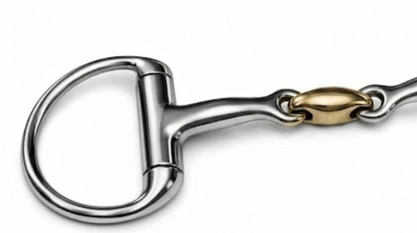 Egg-Butt Bit SS, Double Jointed SS Mouth with Brass Lozenge
