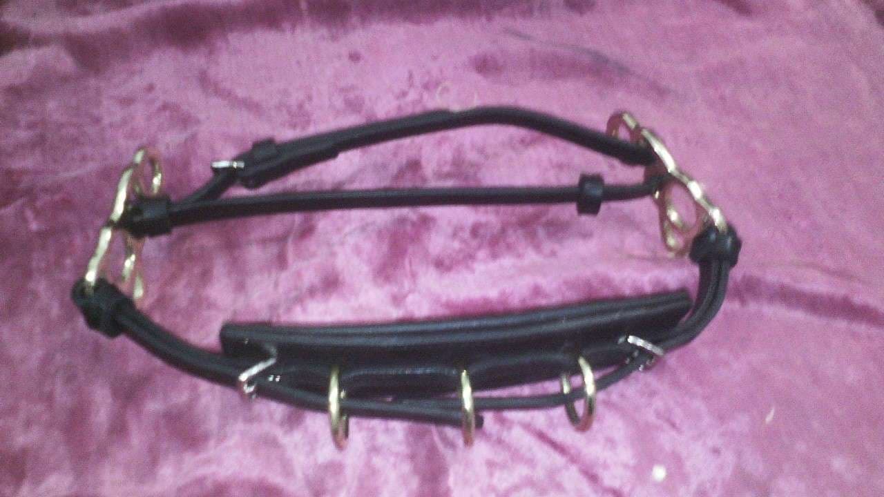 Hackamore/ Cavemore with small brass Shanks, Genuine leather Nose Band having 3 solid brass rings