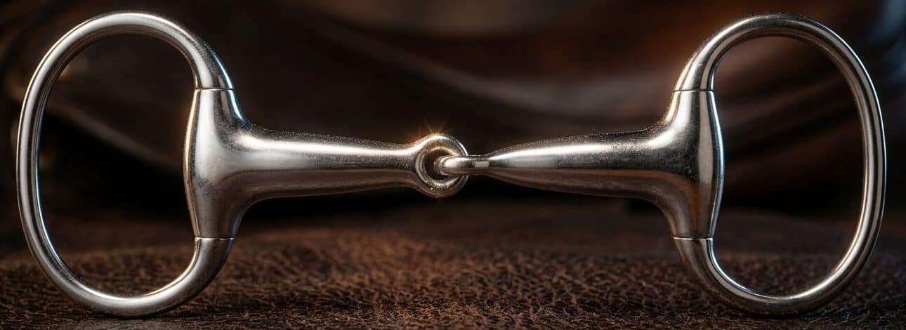 Egg-Butt Bit SS Single Joint Hollow Mouth