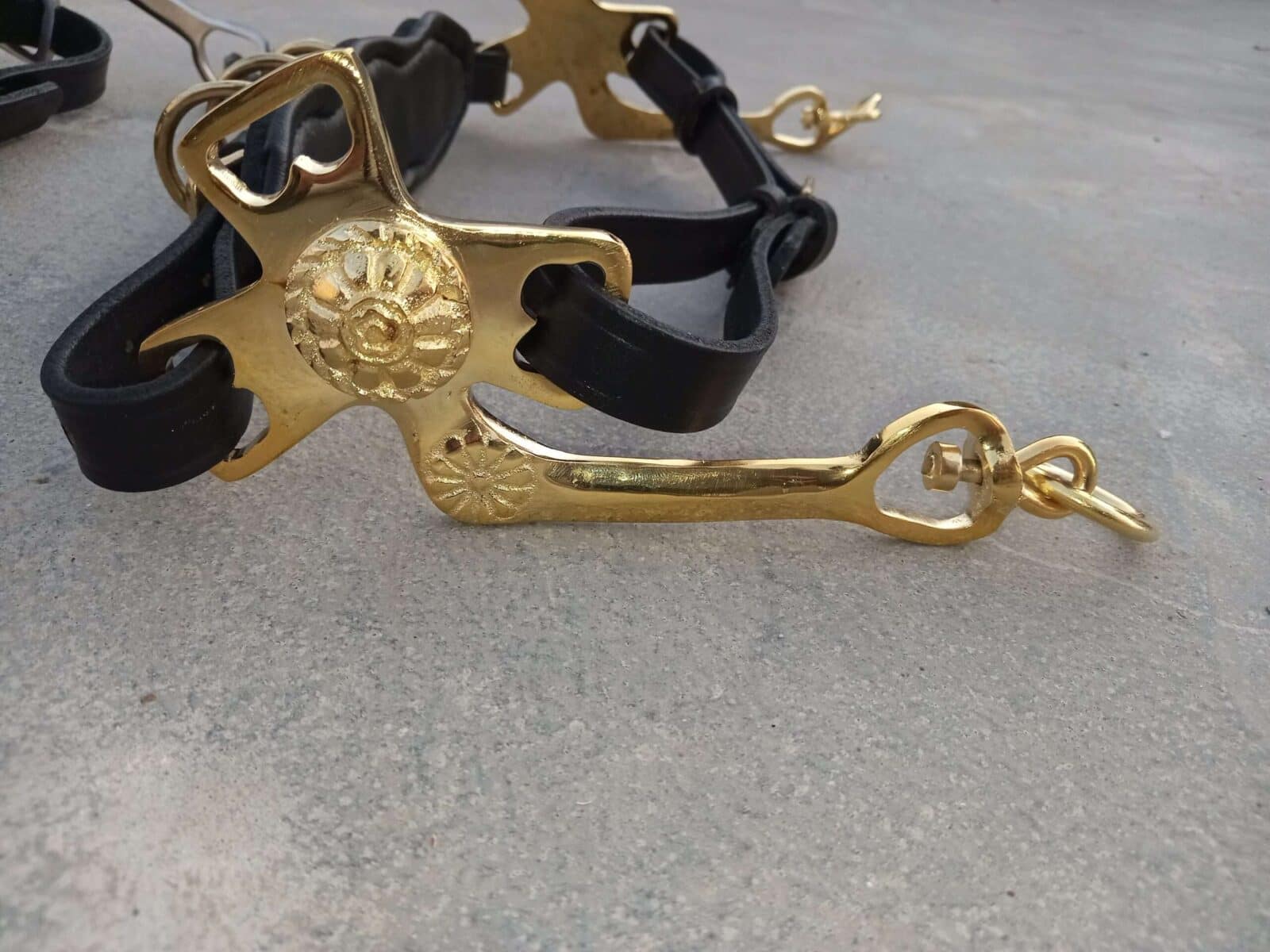 Hackamore/ Cavemore Brass Shanks adjustable Noseband - Image 4