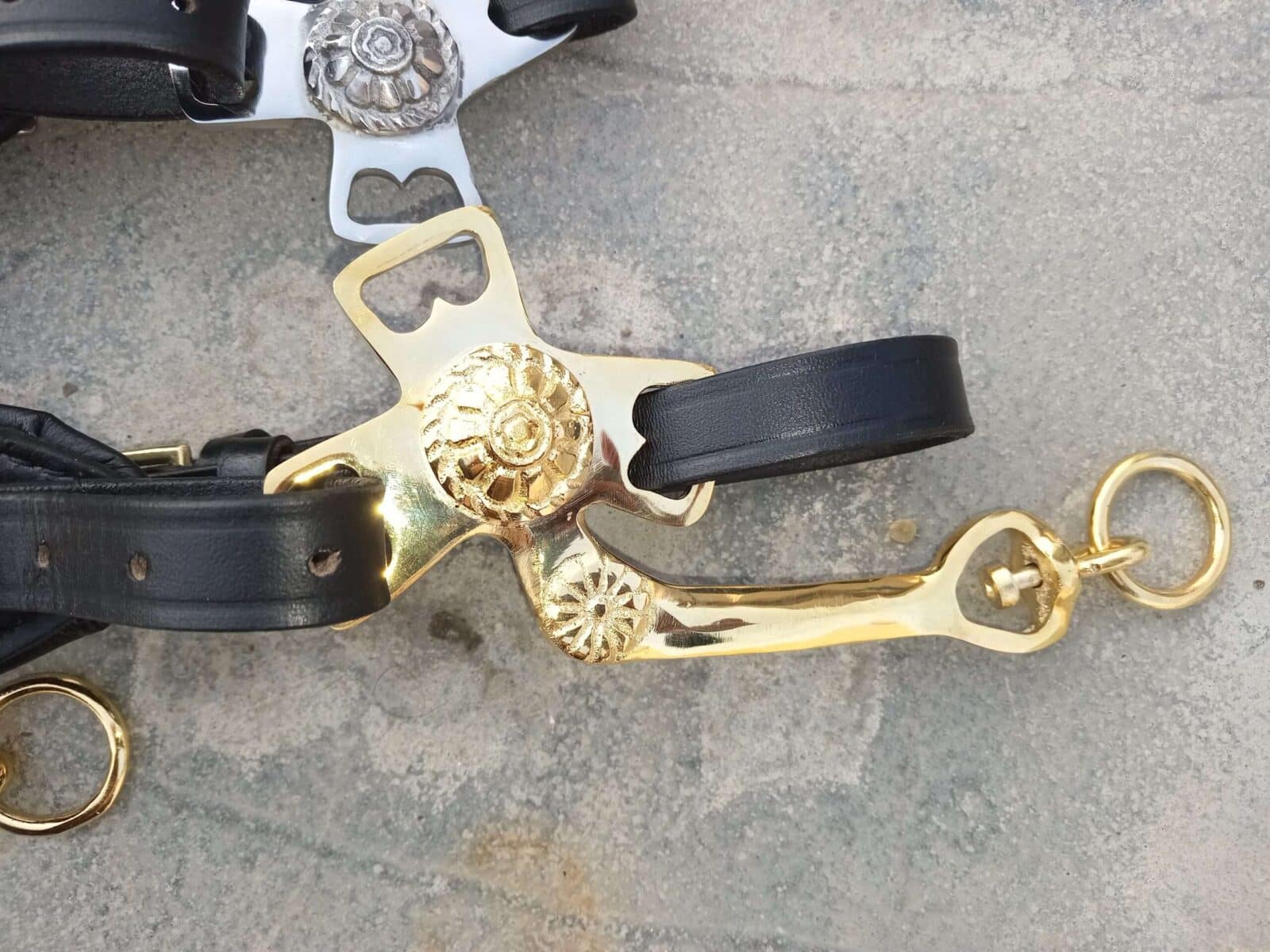 Hackamore/ Cavemore Brass Shanks adjustable Noseband - Image 6