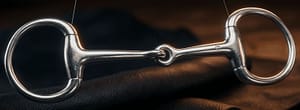 Bradoon SS Single-Jointed Mouth