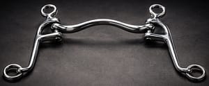 Walking Horse Bit Mullen Mouth SS