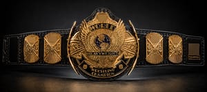 WWF Winged Eagle Gold Plated Heavyweight Wrestling Championship Belt
