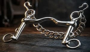 Weymouth Bit Low-Port SS with Curb Chain