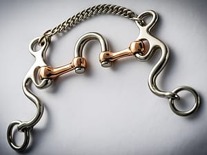 Correction Bit SS, with Solid Roumd Copper Mouth and SS Swivel Port
