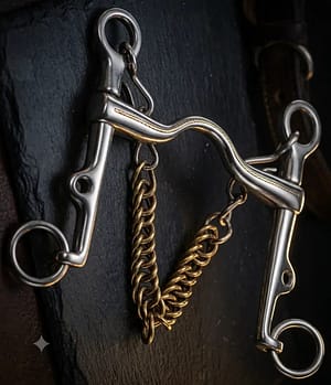 Weymouth SS Bit with Medium Port and Curb Chain