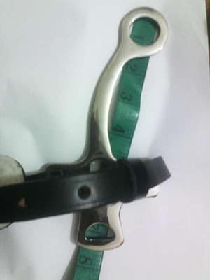 SS Shanks Hackamore with adjustable Nose Band