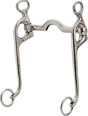 Rowland SS Walking Horse Curb Bit with Medium Port