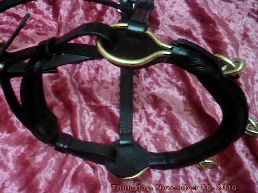 Lungging Cavesson Brown Leather with Stainless Steel hardware - Image 2