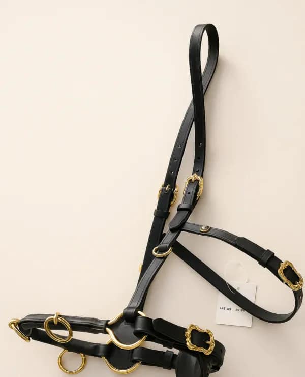 Lungging Cavesson Black Leather with Brass hardware